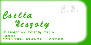 csilla meszoly business card