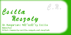 csilla meszoly business card